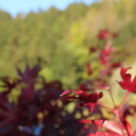 Kraemershagen Appartement *