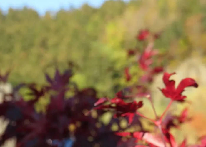 Kraemershagen アパート *