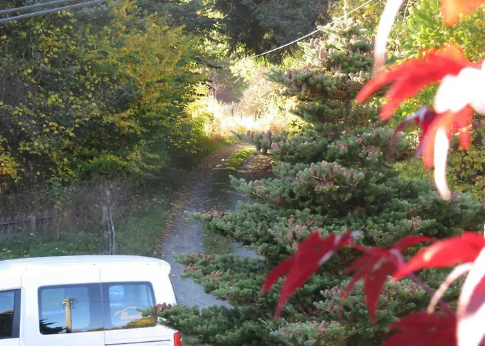 Kraemershagen * Medebach